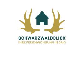 Schwarzwald-Blick Lenzkirch-Saig，位于伦茨基希的公寓