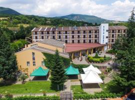 克里斯酒店，位于维贾诺的酒店