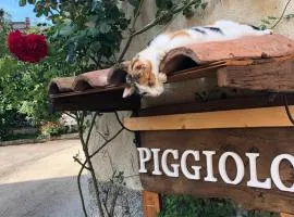 PIGGIOLO