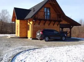 Domek na wzgórzu ''NIEDŹWIEDŹ''