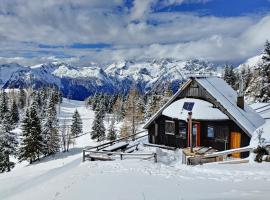 Chalet Zlatica Velika Planina，位于Stahovica的酒店