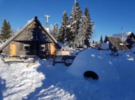 Chalet Encijan - Velika planina，位于Stahovica的酒店