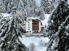 Hotel Buckelhof - See - only 20 min from Ischgl