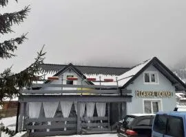 Pensiunea Floarea Dornei