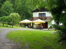 Pension U Štěpánků，位于Trpišovice的酒店