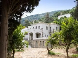 Villa Perivoli in Lemon Orchard