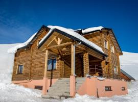 Snow Time Eco Chalet，位于古多里的酒店