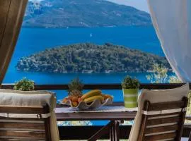 Stunning seaviews, infinity pool, close to beach - Villa Meliti