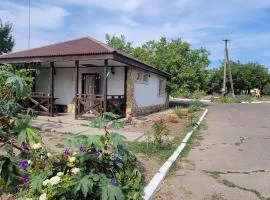 Київська Чайка Коблево