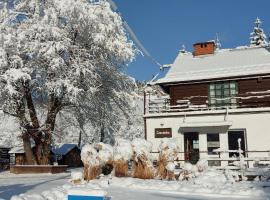 Leon&oacute;wka Bieszczady，位于齐斯纳的浪漫度假酒店