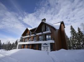 Alliance Villa Gоderdzi，位于Khulo的酒店