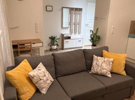 Cozy centre apartament Kuopio，位于库奥皮奥Kuopio Museum附近的酒店