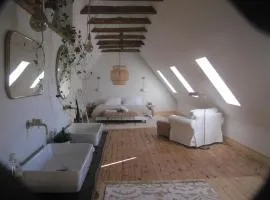 Esprit Nature Rêve d'étoiles