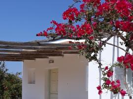 The Artists House - Traditional Home，位于Agia Theodoti的乡村别墅