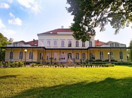 Chateau Földvary Hotel，位于Öttevény的酒店