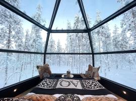Aurora Queen Resort Igloos，位于萨利色尔卡的酒店