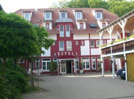 Hotel Hirsch，位于辛斯海姆的酒店