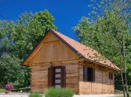 Holiday home in Rakovica with terrace, WiFi, washing machine 4488-2