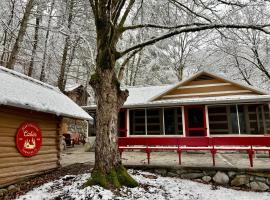 Beary Relaxing Cabin - Rustic with Outdoor Patio，位于汤森德的酒店