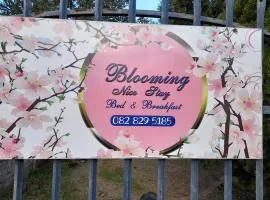 Blooming Nice Stay