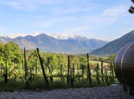 莎富 - 法斯迈恩费尔德住宿加早餐旅馆，位于迈恩费尔德的酒店