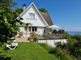 Mont Blanc Chalet，位于Grandevent的木屋