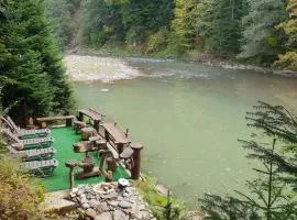 Зарінок карпат
