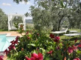 Tognazzi Casa Vacanze - Villa San Martino