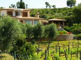 Uva & Stelle Maison in collina di Sperlonga