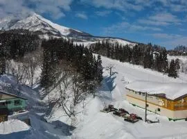 Riders Ridge Luxury Chalet sleeps 12 Ski In Ski Out Myoko