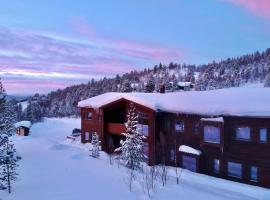 Bjørnfjell Mountain Lodge，位于阿尔塔的山林小屋