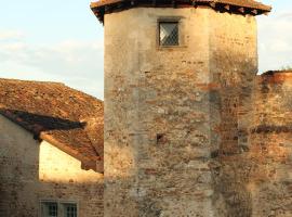La tour Bocsozel，位于La Côte-Saint-André的酒店