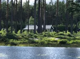 Modern lakeside cottage & boat near Isaberg