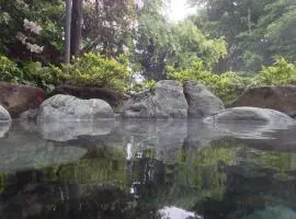 HOTSPRING HOUSE IN KOWAKUDANI - Vacation STAY 14262v
