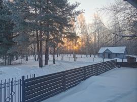 Peipsi Caravani puhkemaja，位于Nina的酒店