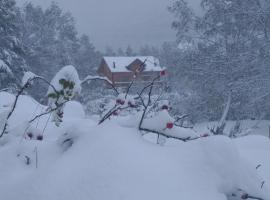Chalet bois au milieu des Pyrénées，位于约斯皮塔莱普雷朗多尔的酒店