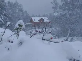 Chalet bois au milieu des Pyrénées