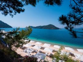 D Resort Gocek Special Category，位于戈西克的酒店