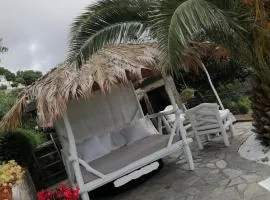 ROSAMIMAMA citra OO9042-LT-0250