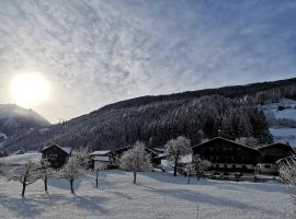 Bio Bauernhof Schweizerhof，位于巴特霍夫加施泰因的酒店