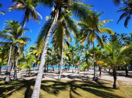 Hotel Playa Mandala，位于帕洛米诺的酒店