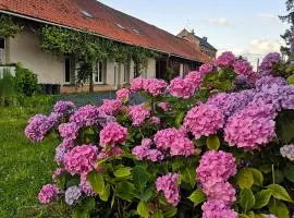 Eco-Gîte de L'Etang Présent