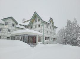 居会弗鲁姆赛堡酒店，位于芙露姆赛山施瓦姆科夫滑雪缆车附近的酒店