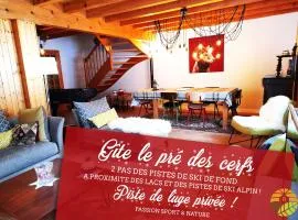 ⁂⁂ GITE LE PRES AU CERF [CLEDICIHOME] 2 steps from the LISPACH resort // PRIVATE toboggan run! SNOWSHOE DEPARTURE ⁂⁂