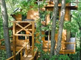 Treehouse #1 by Amish Country Lodging