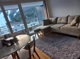 Bjelašnica mountain view apartment，位于别拉什尼察的酒店