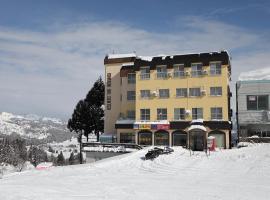 Ishiuchi Ski Center，位于南鱼沼市石打丸山滑雪场附近的酒店