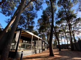 Peputo Luxury Residence & Mobile Homes，位于罗维尼的酒店