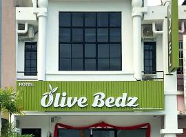Olive Bedz Hotel，位于淡文的酒店