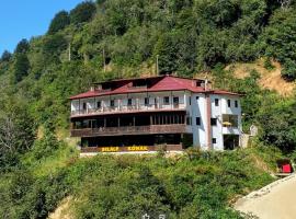 Şelale Konak (ÇAVUŞUN YERİ)，位于Cayeli的酒店